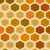 a honeycomb