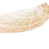 a shell
